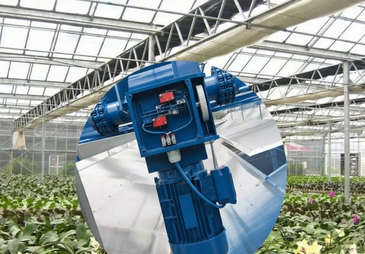 Gear Motor