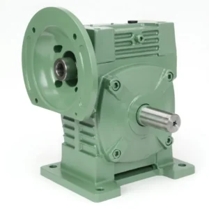 Worm Gear