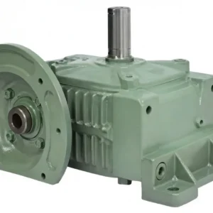 Worm Gear