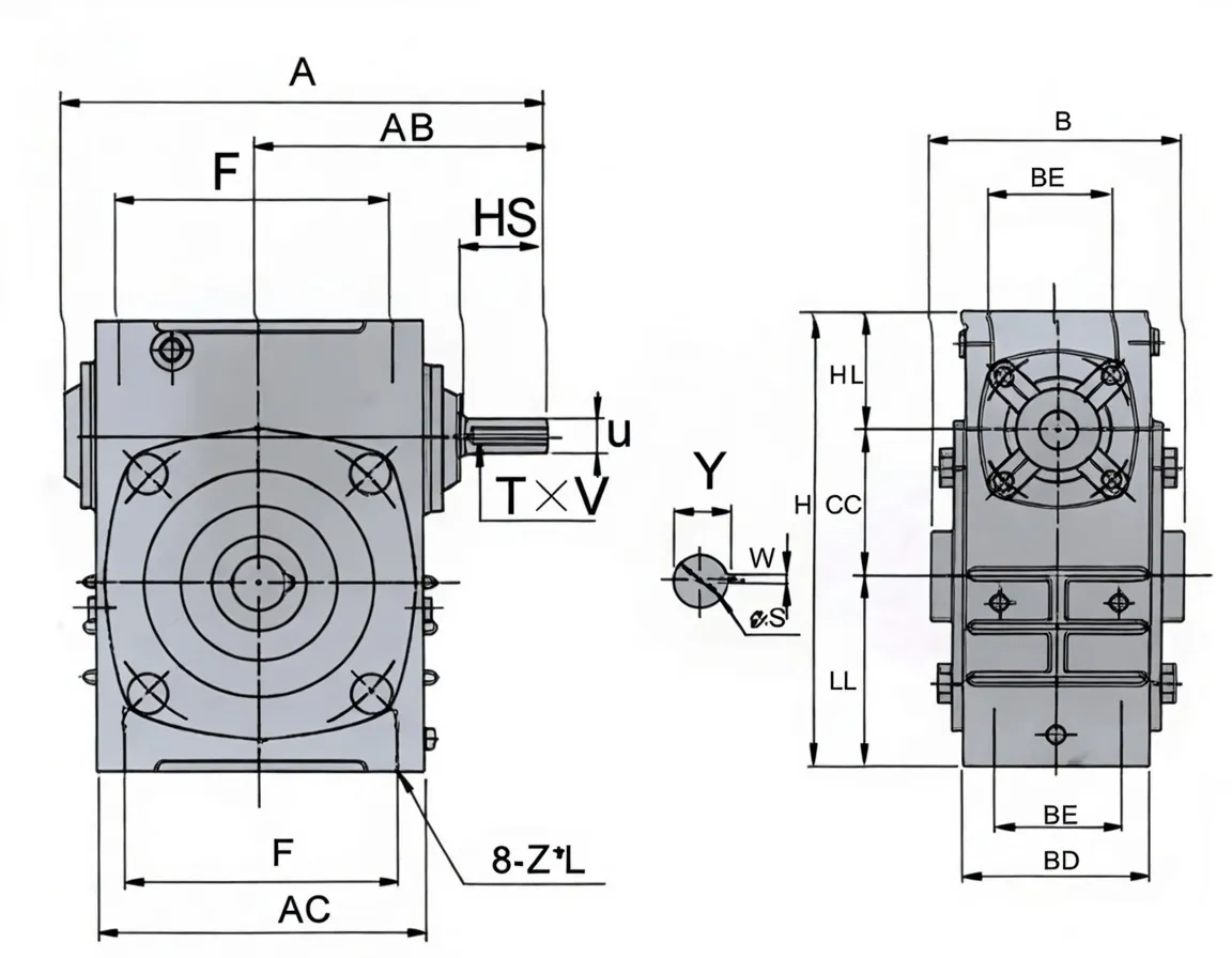 Worm Gear